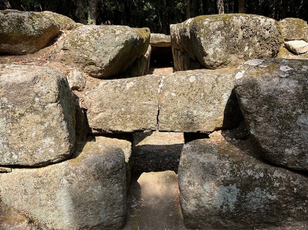 Parco Archeologico e Naturalistico del Bosco Seleni-Lanusei必去景点