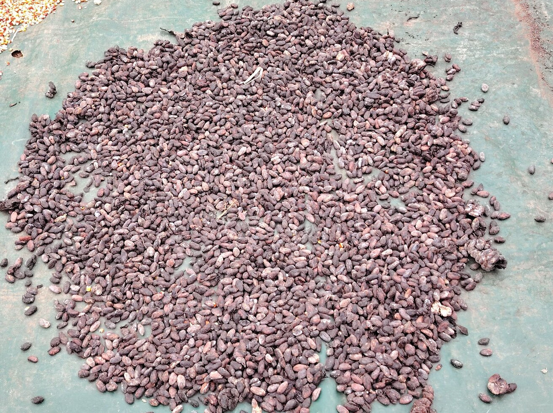 Sierraventur Travel-圣玛尔塔必去景点