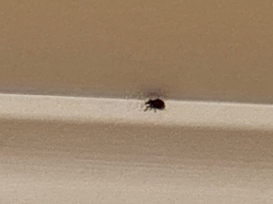 海景画海岸隐居酒店主图