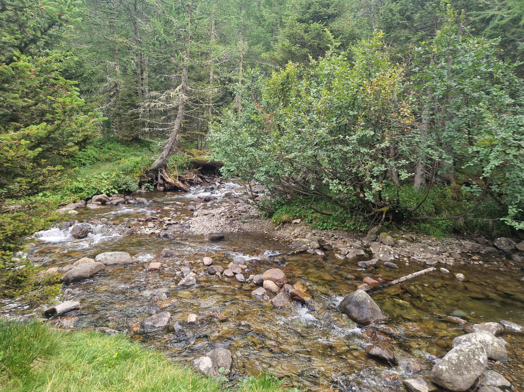 Lago di Fontana Bianca-Ultimo必去景点