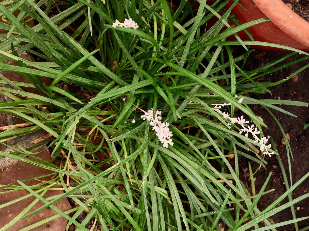 Ufa Botanical Garden-乌法必去景点