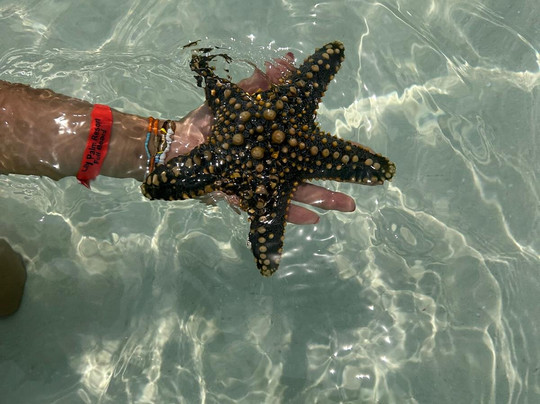 Info Kenya Tours-瓦塔木必去景点