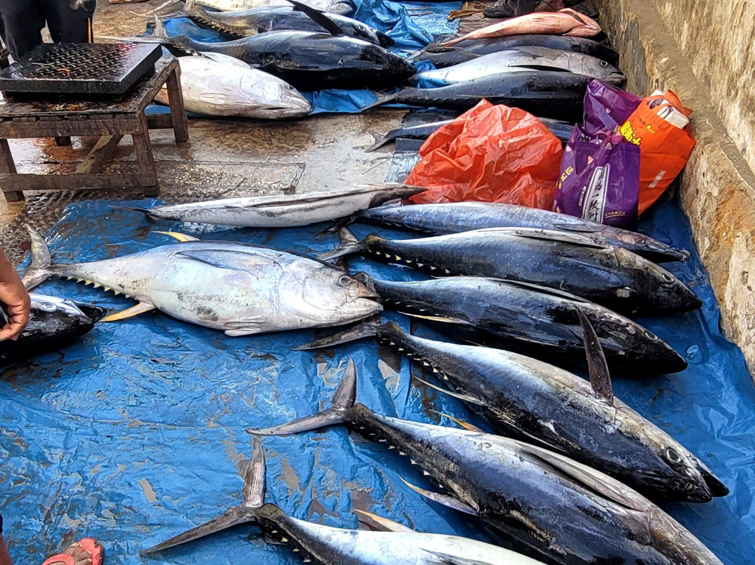 Enjoy Kizimkazi with Mr. Happy-Kizimkazi必去景点