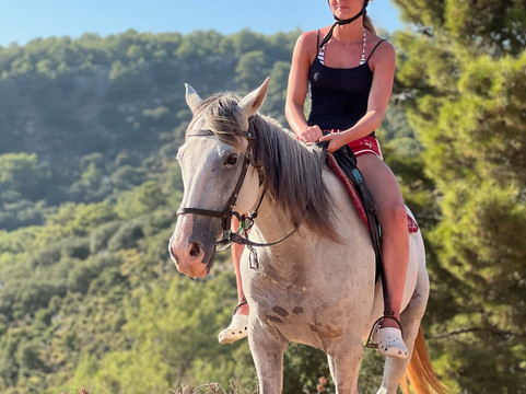 Family Horse Farm-厄吕代尼兹必去景点