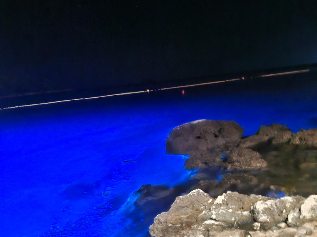 Valentino Cocktail & Champagene Bar-罗维尼必去景点