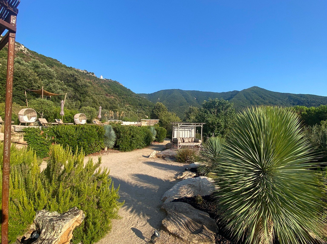 Terre de Maquis主图