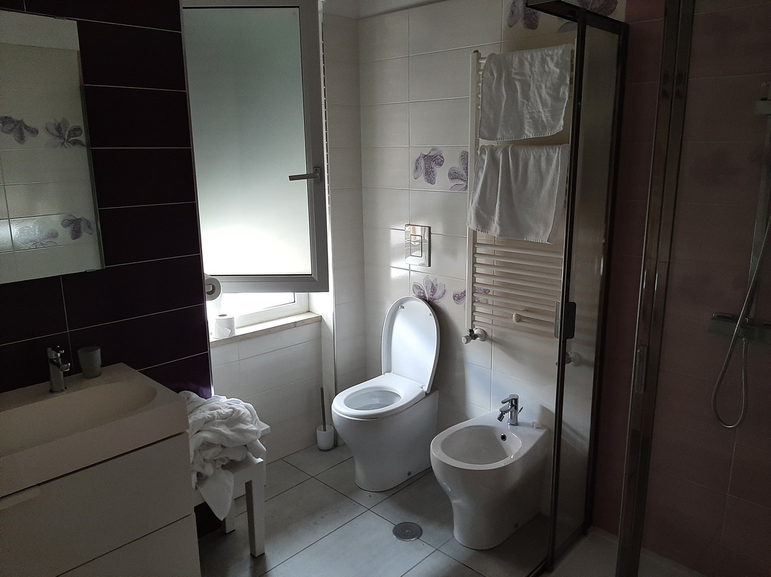 萨勒诺酒店住宿-B&B Orchidea