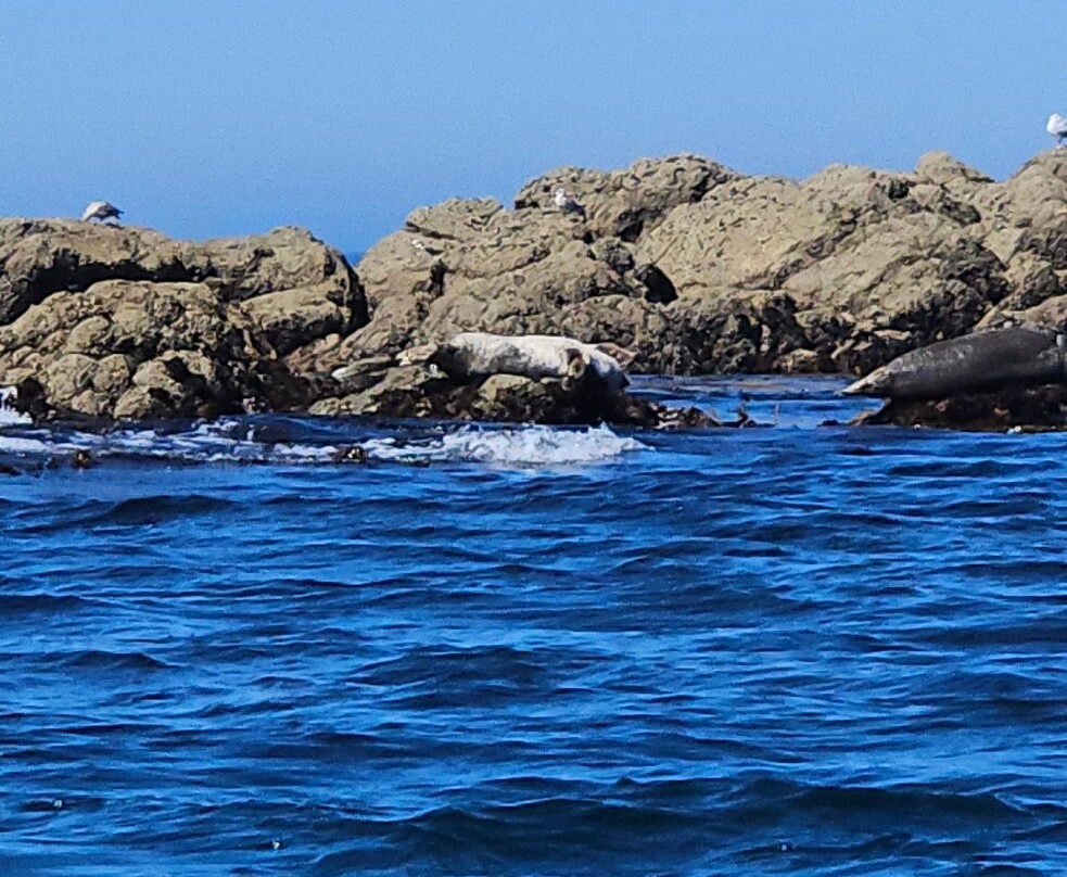 Archipel Excursions-勒孔凯必去景点