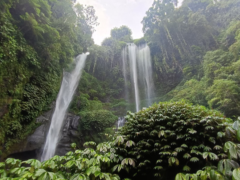 Ubud Tour Driver - Rahde-吉安雅必去景点