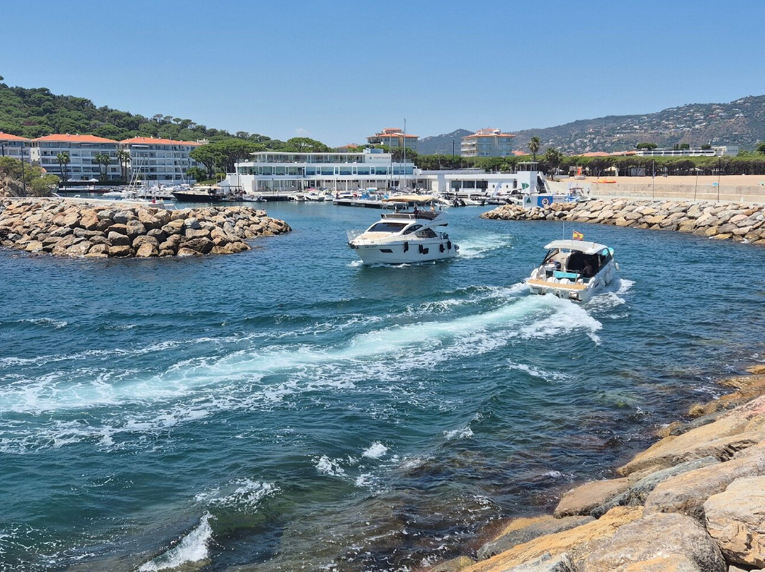 Mas La Casassa主图