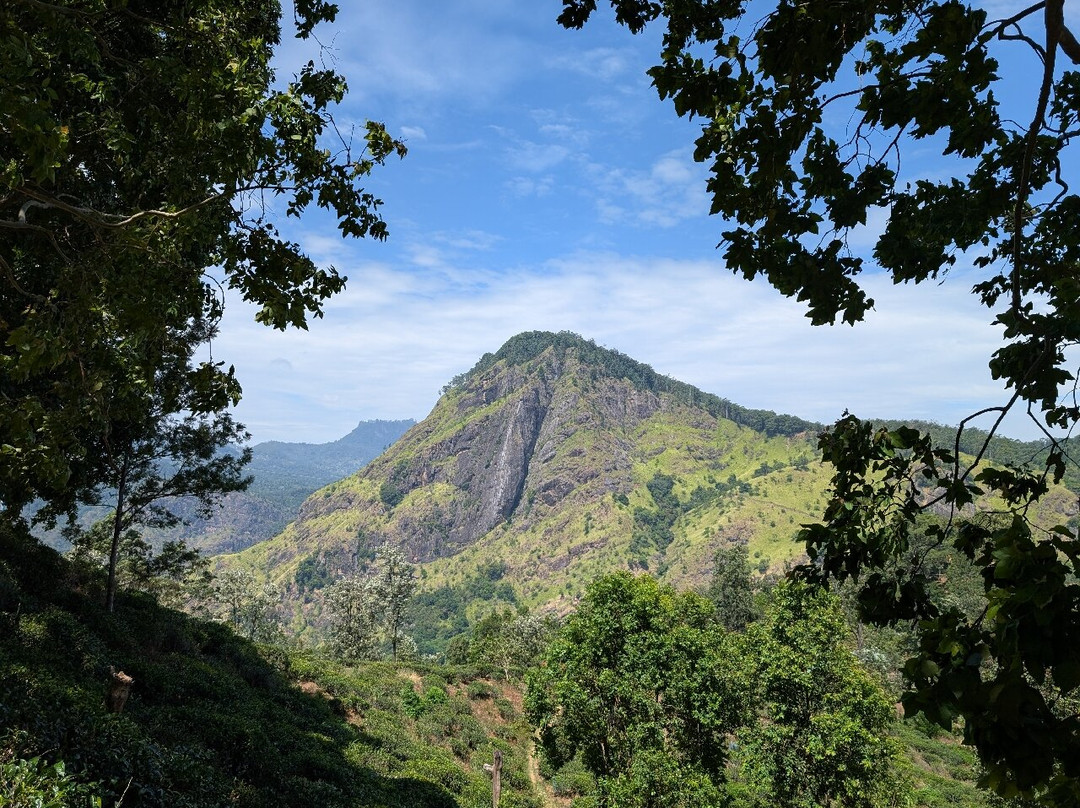 Sri Lanka Tailored Tours-Ja Ela必去景点