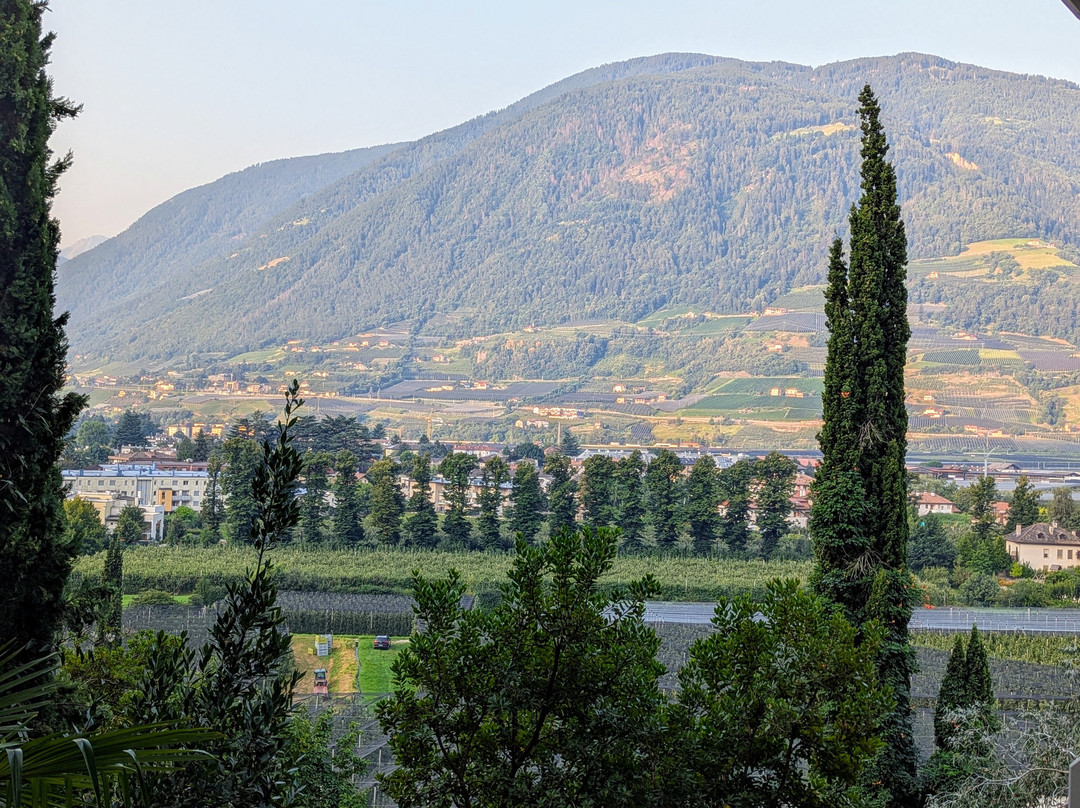 Hotel Villa Tivoli主图