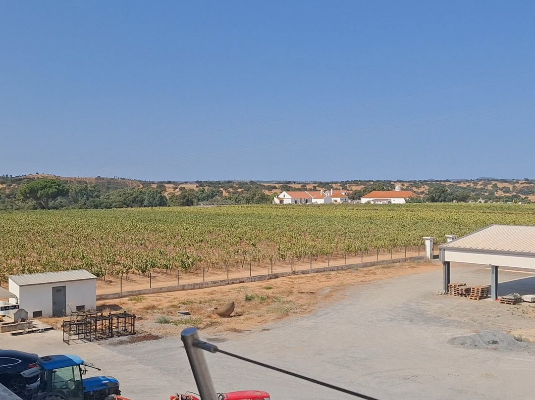 Herdade Canal Caveira-Grandola必去景点