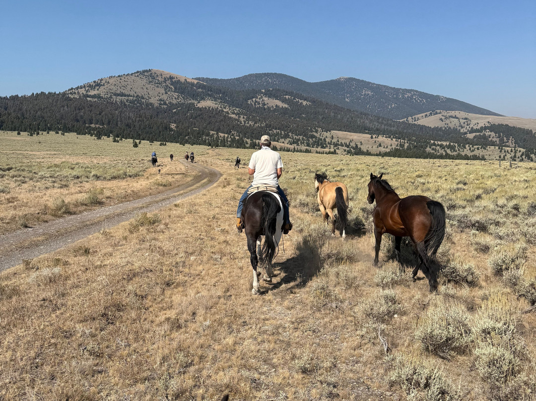 Silver Spur Ranch Idaho-Dubois必去景点