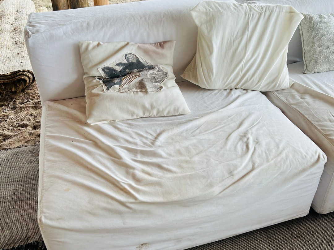 Big Bang Nature Stays主图