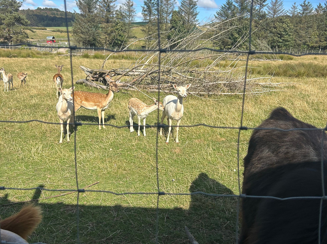 Wynford Farm Playbarn-Kingswells必去景点