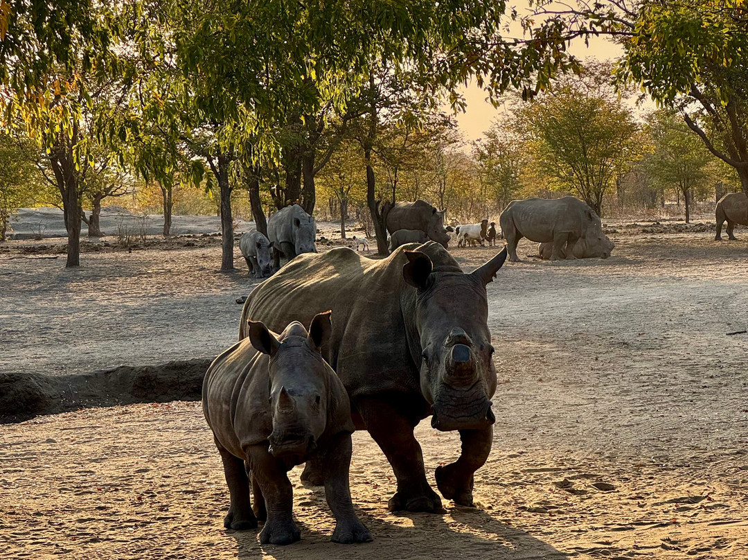 Sukulu Reserve-李文斯顿必去景点