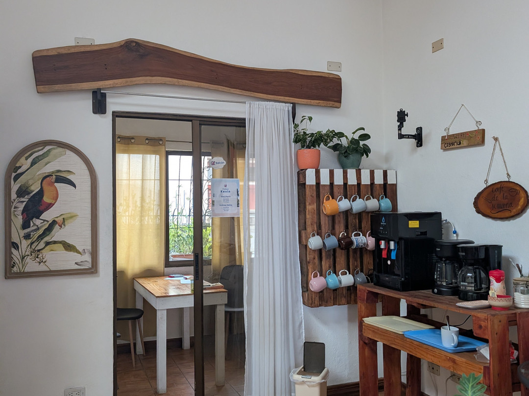 Tico Lingo-爱雷迪雅必去景点