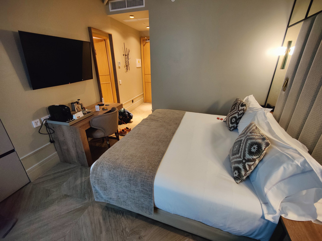 利奥酒店房间伴侣主图