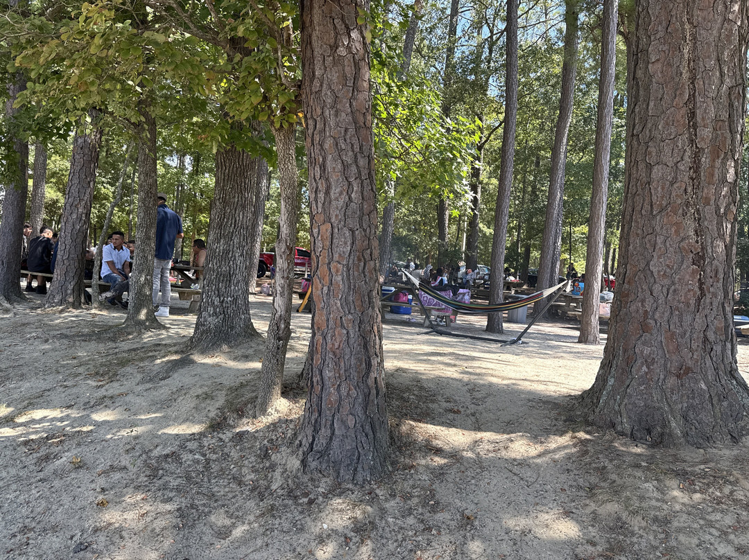 Tucker Lake-Benson必去景点