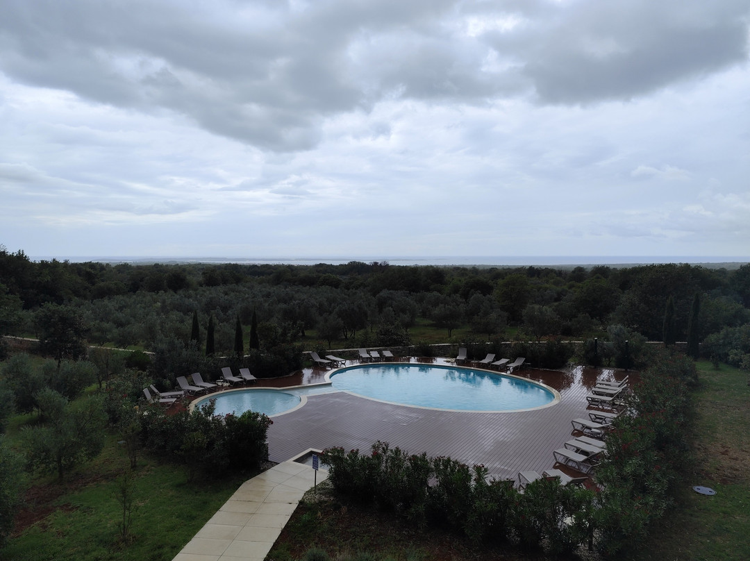 Papafigo Camping