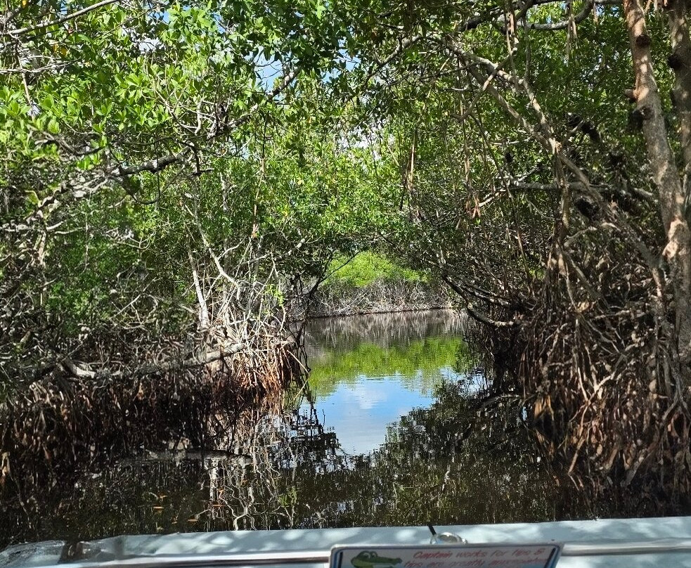 Captain Jack's Airboat Tours-大沼泽地必去景点