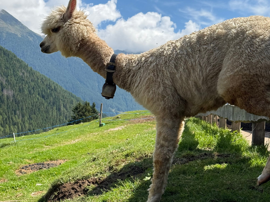 Hotel Arcangelo 3 Stelle Superior主图