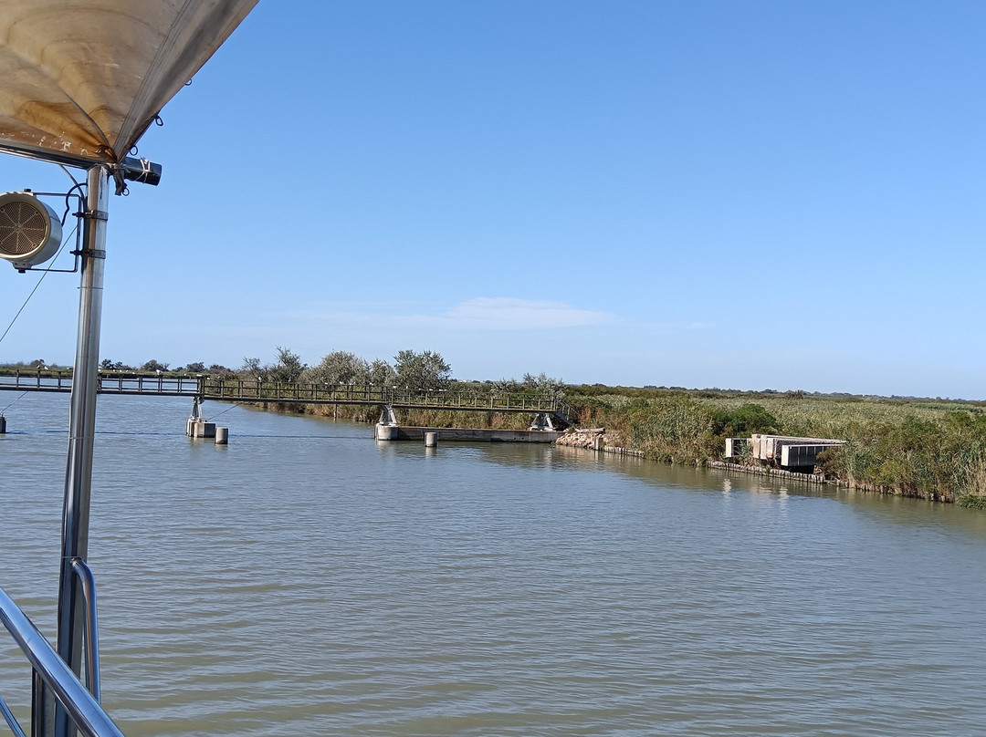 Motorship Dali-Porto Garibaldi必去景点