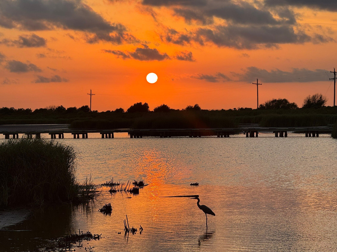 Sea Rim State Park-Port Arthur必去景点