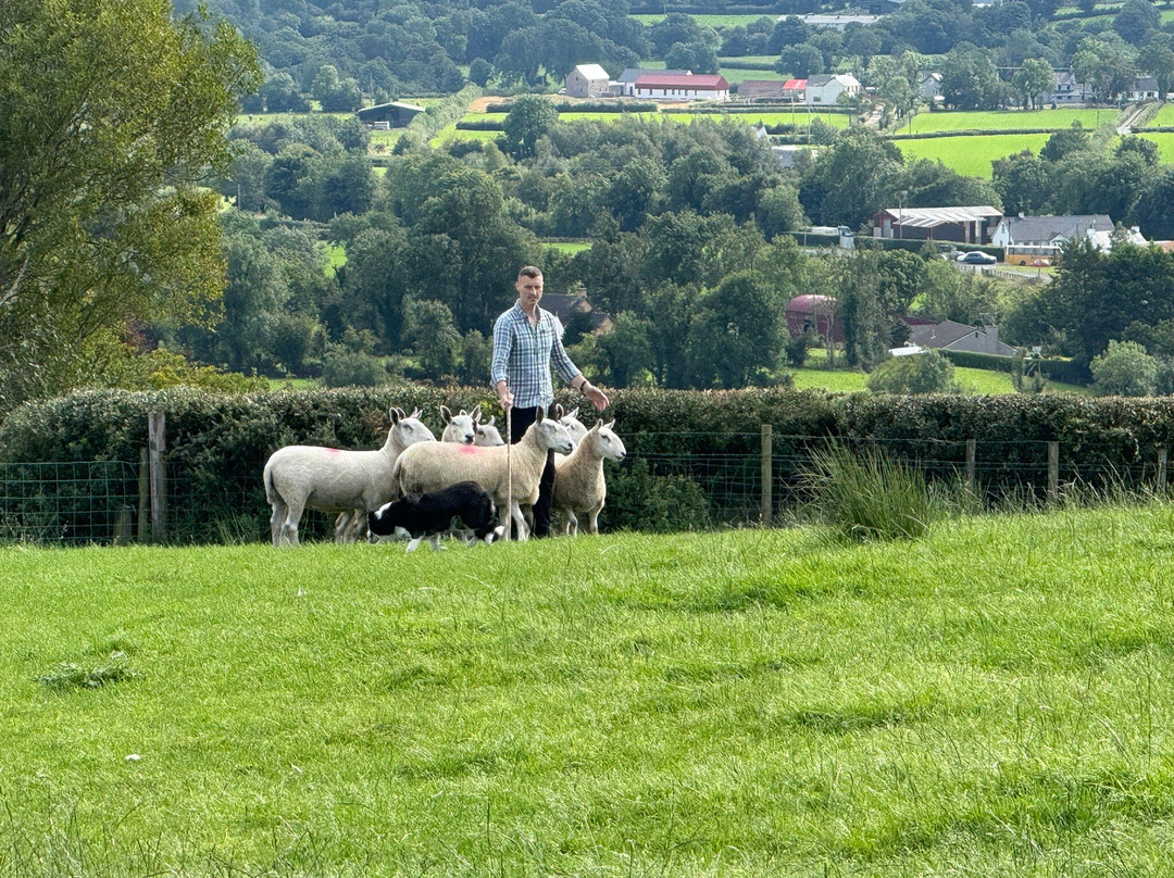 Glenshane Country Farm-Maghera必去景点
