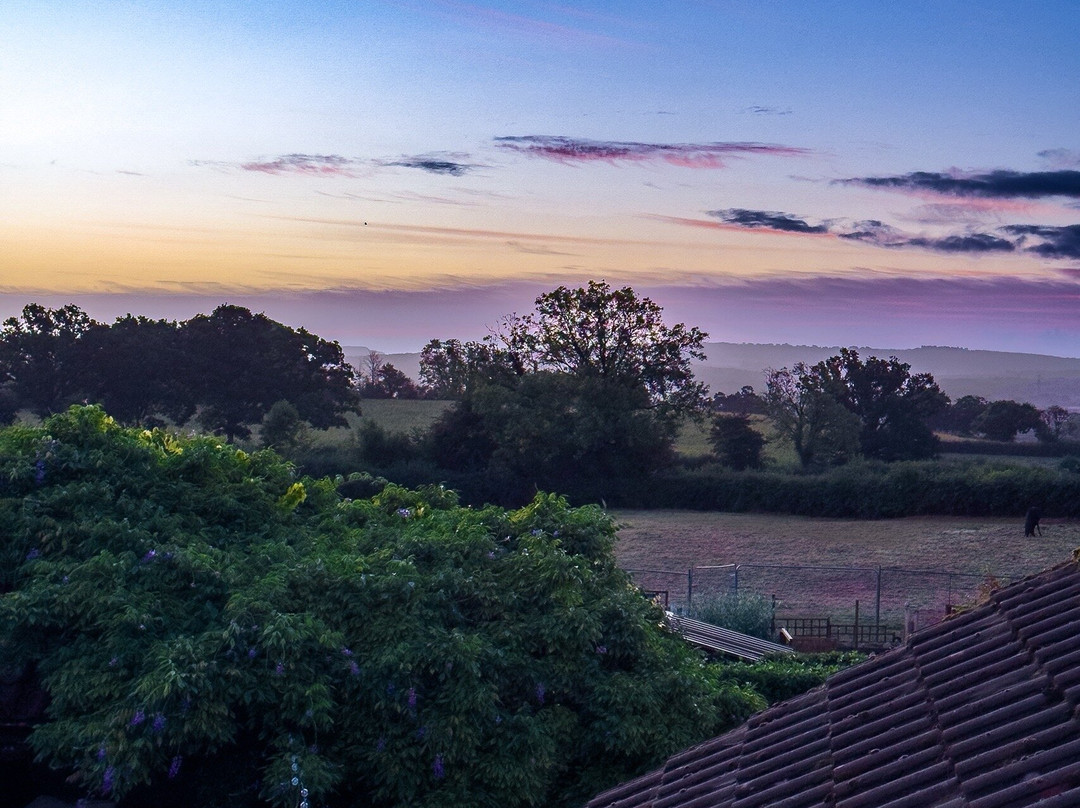 The Place To Stay主图