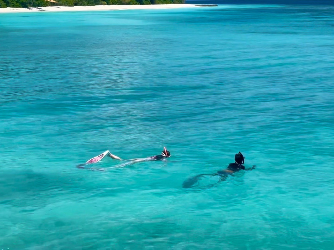 Dive Butler Amilla-芭环礁必去景点