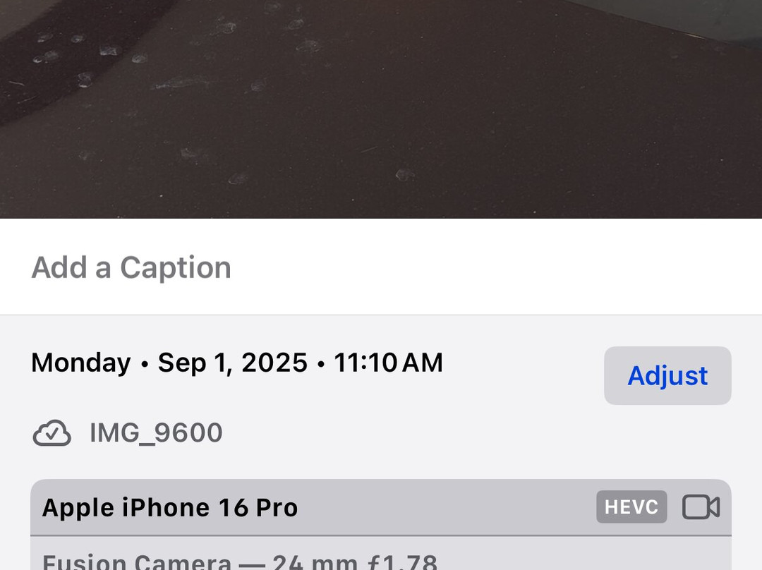 IP Casino Resort-比洛克西必去景点