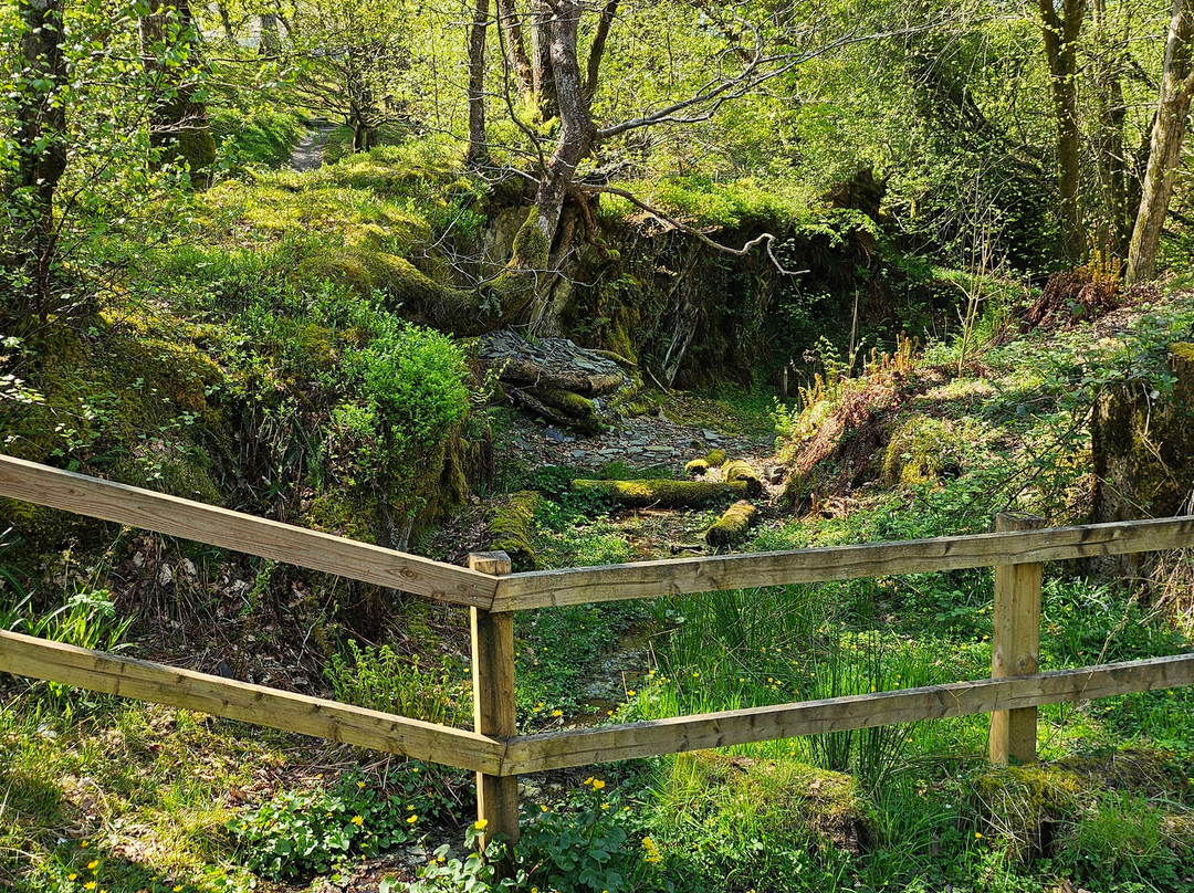Luss Village Paths-拉斯必去景点