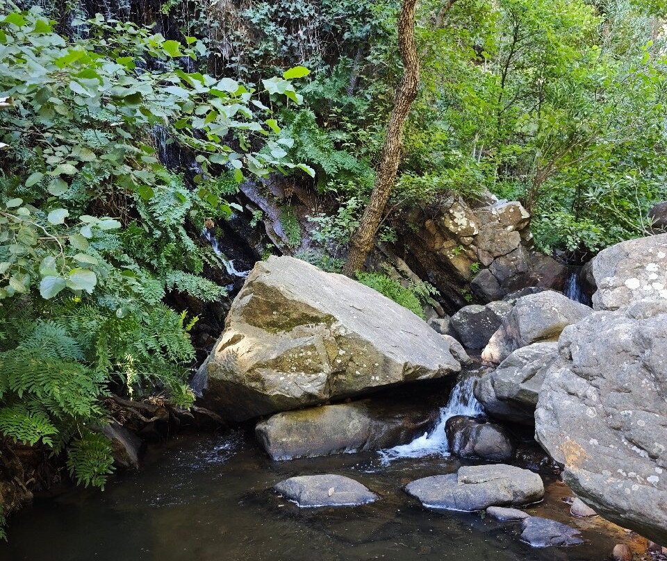 Sendero Rio de la Miel-阿尔赫西拉斯必去景点