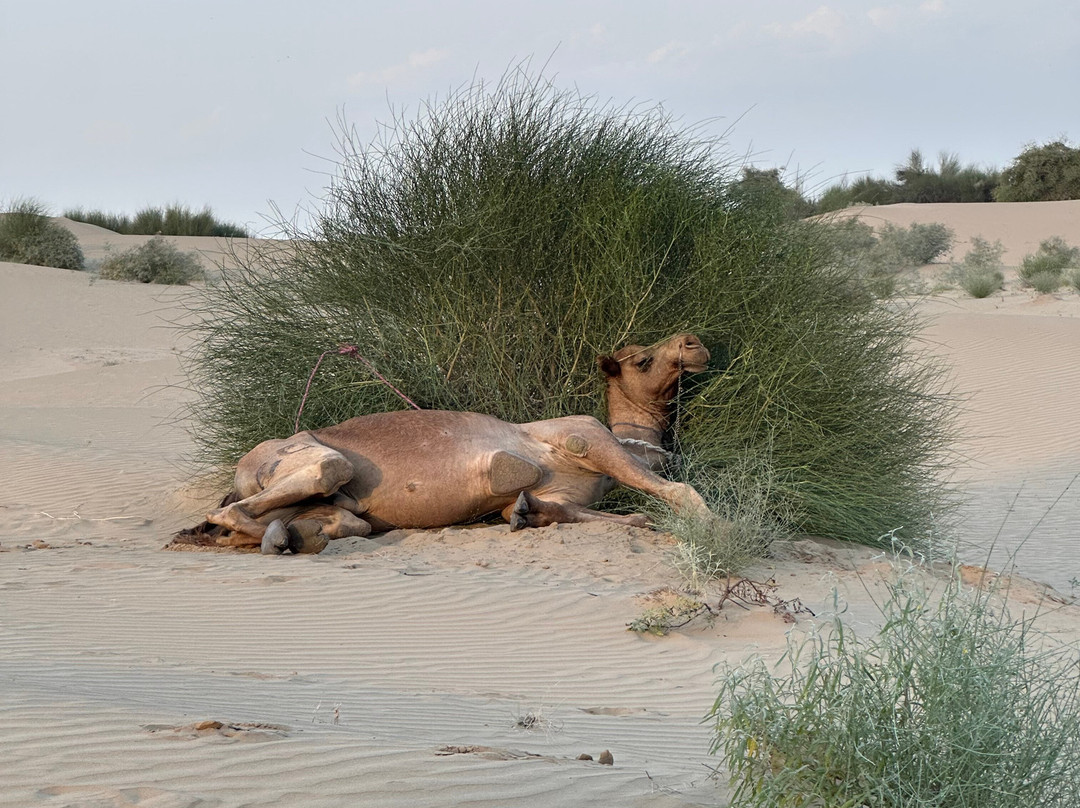 雷赫斯坦客栈主图