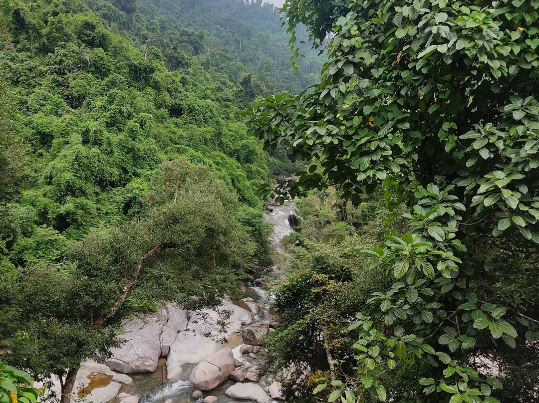 Kong Forest-Suoi Cat必去景点