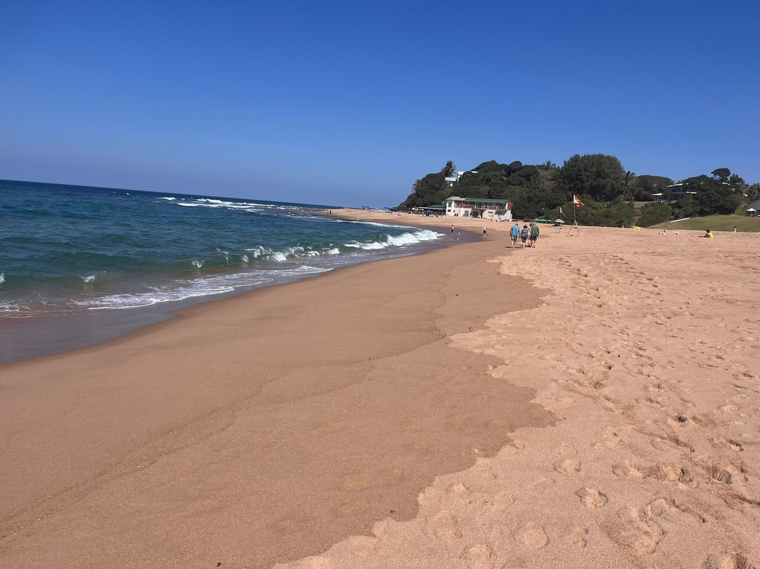 Zinkwazi Dive Charters