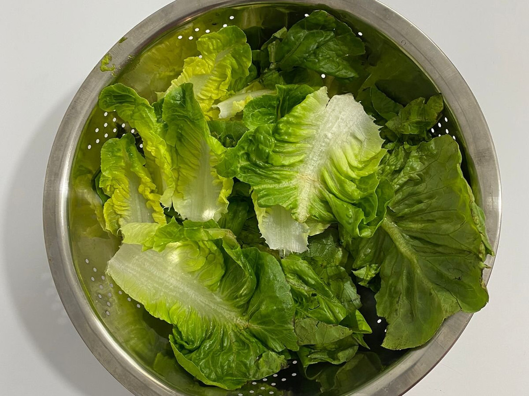 Café Restaurant Dania