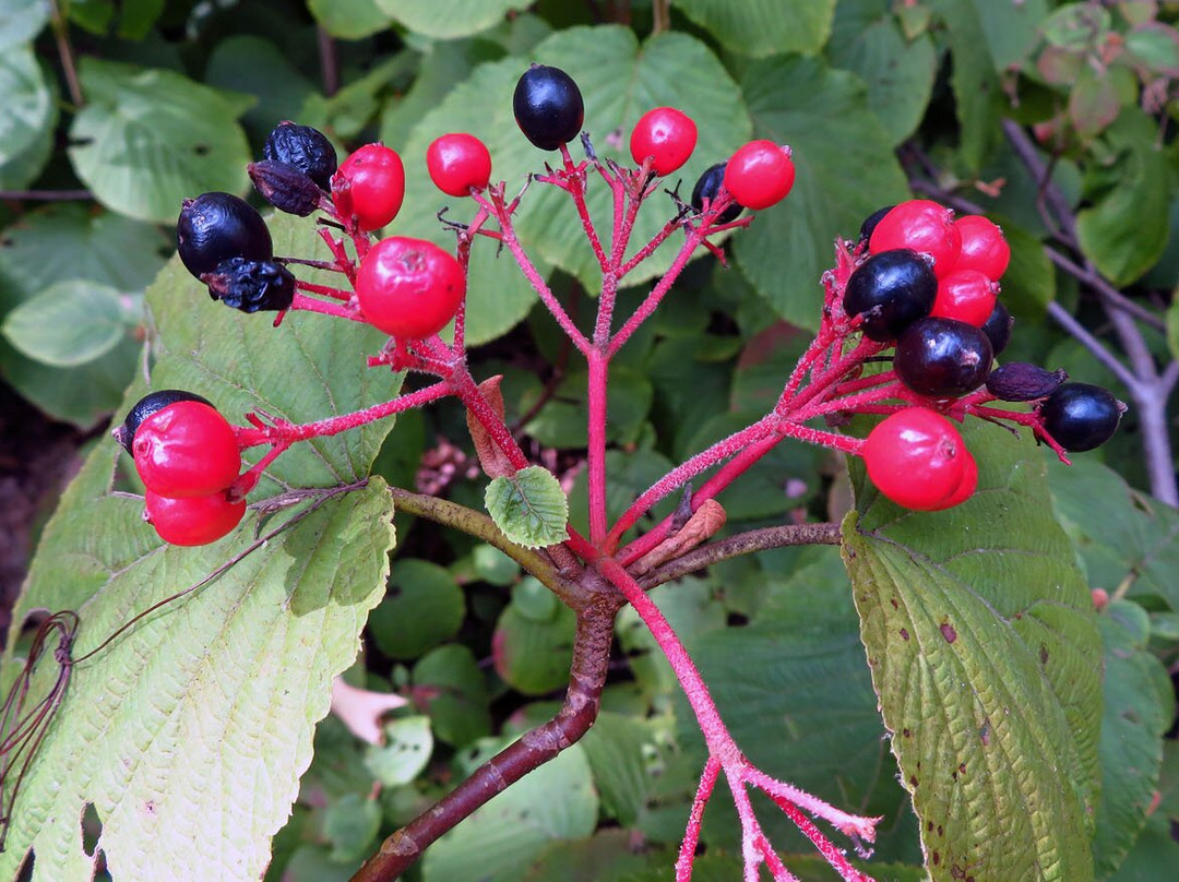 Mikisew Provincial Park-South River必去景点