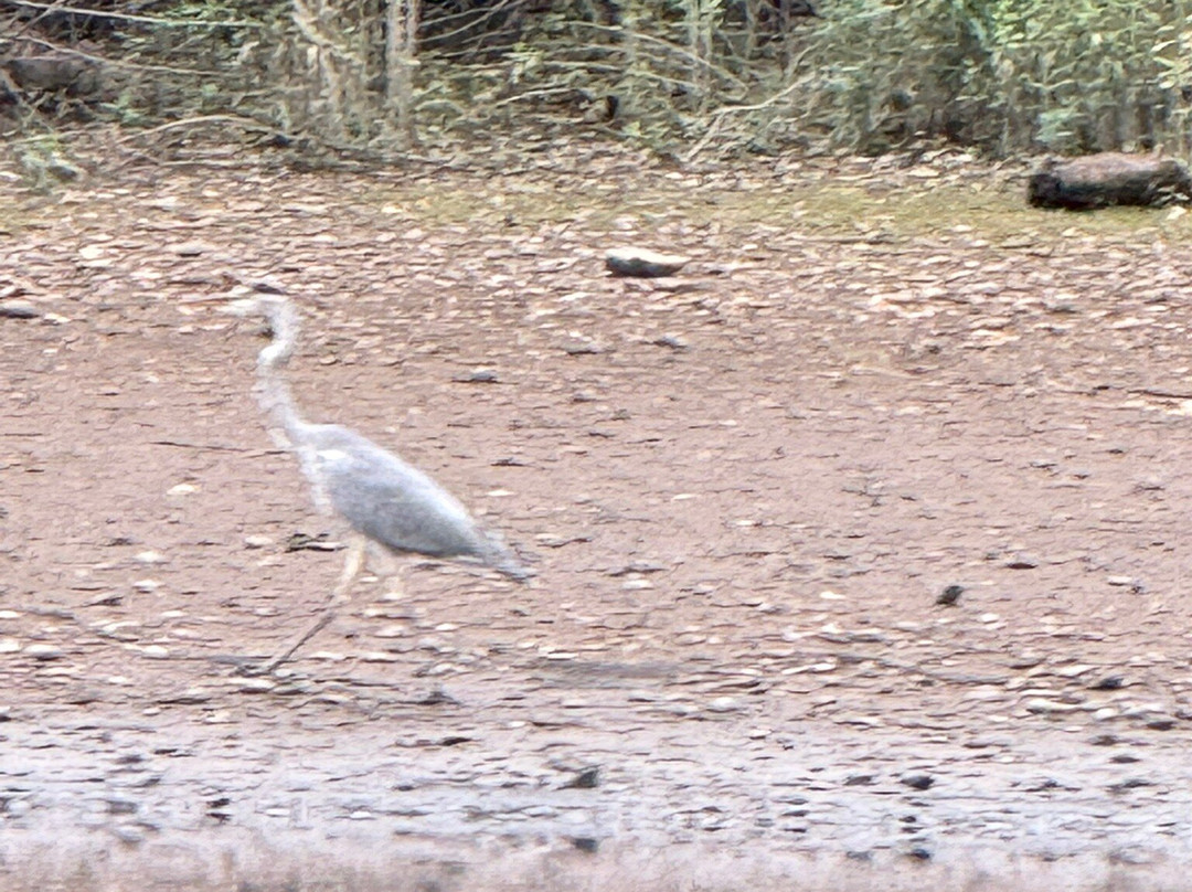 Gabare Argentat-Argentat必去景点