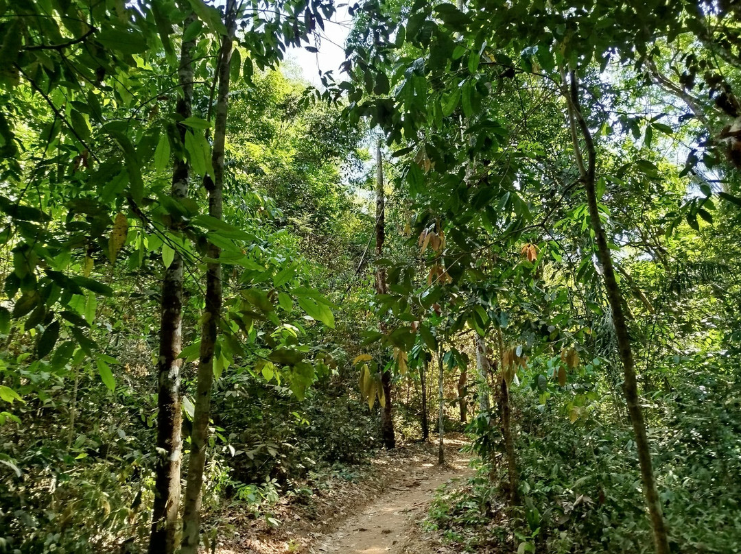 Andorinhas Do Jalapão Ecoturismo e Expedições-Palmas必去景点