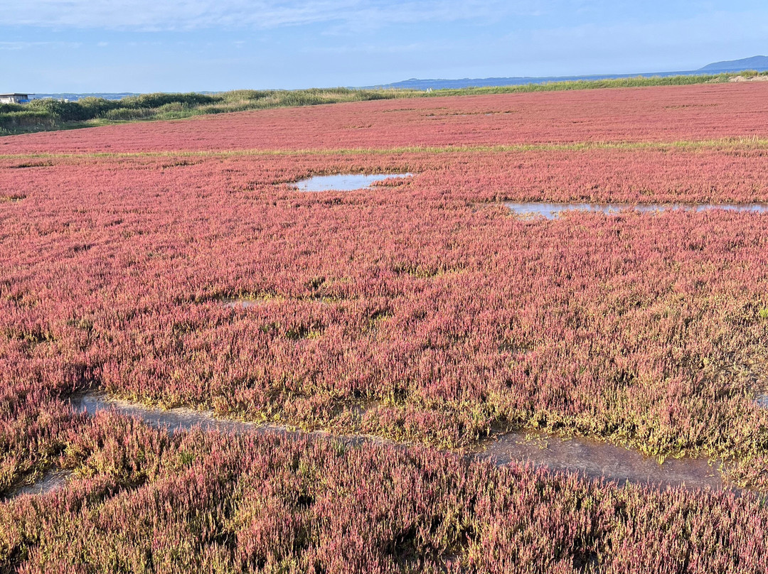 能取湖第一展望台-网走市必去景点