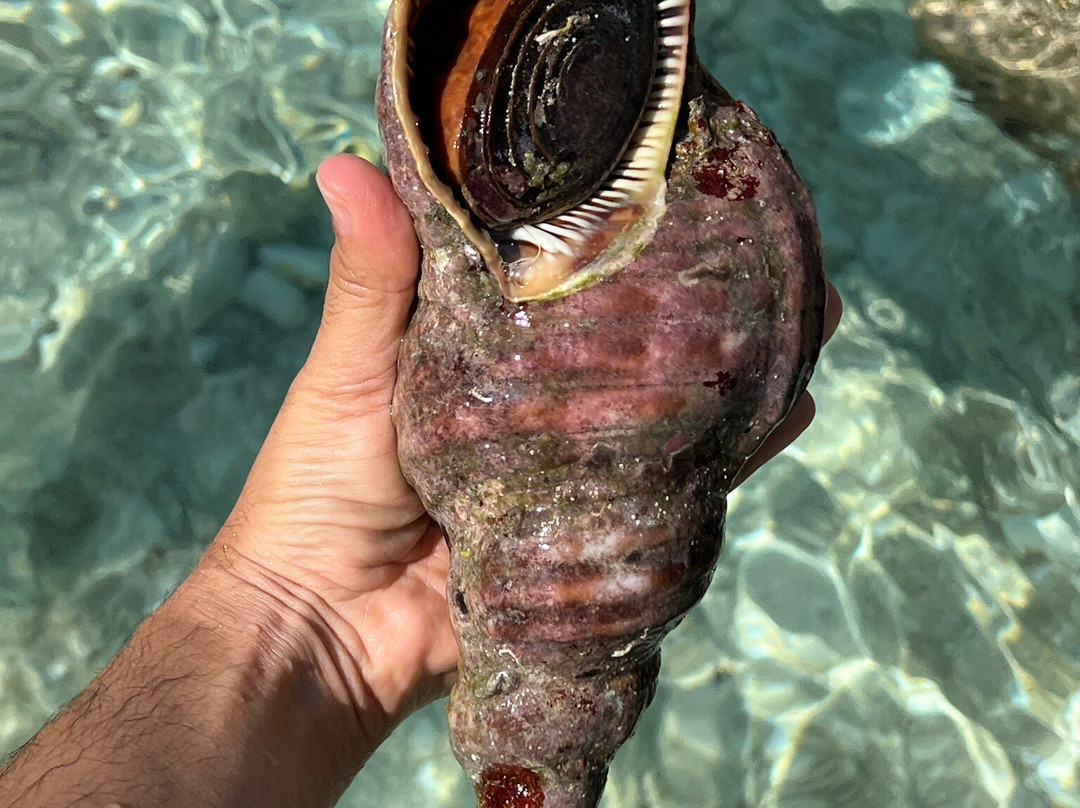 Petani Beach-Lixouri必去景点