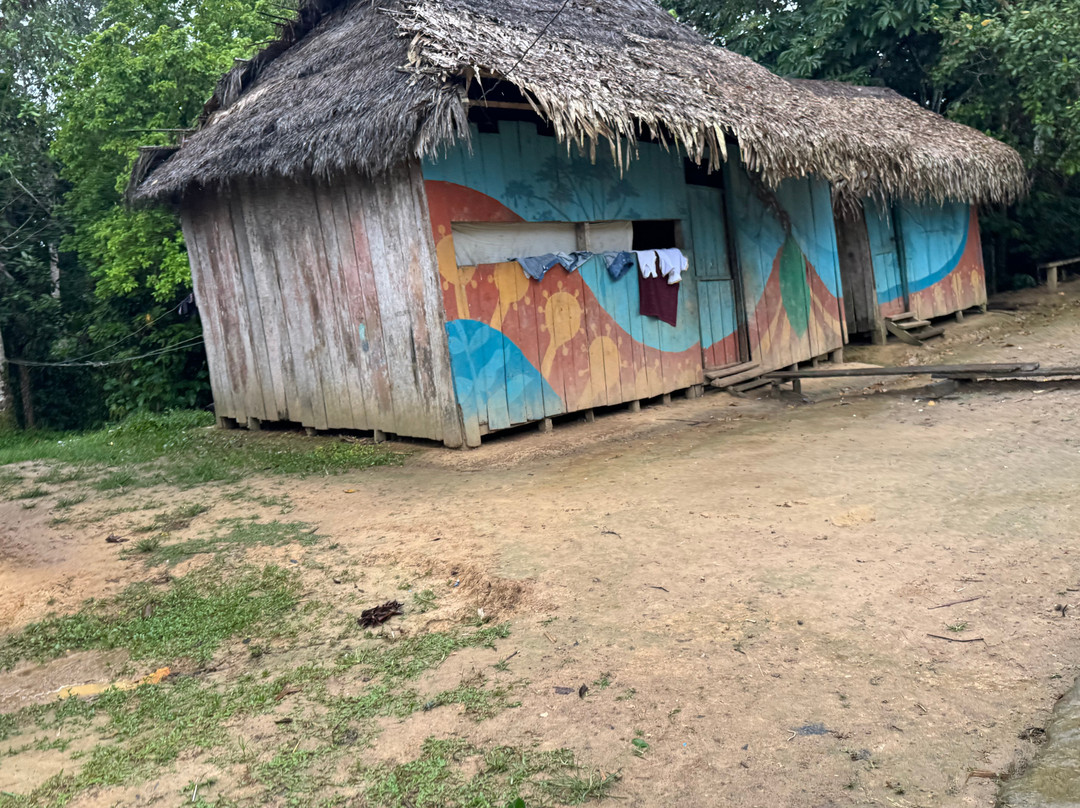 Conexion-Amazonas Puerto Nariño-Puerto Narino必去景点