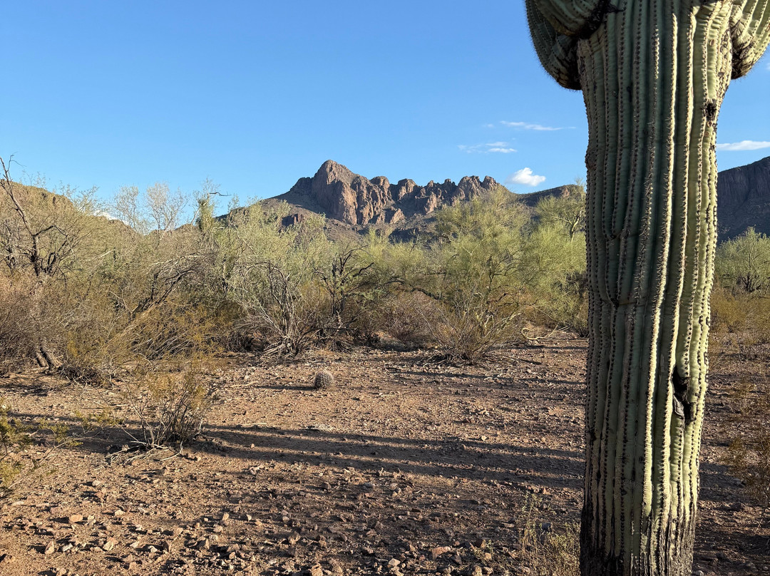 White Stallion Ranch-图森必去景点