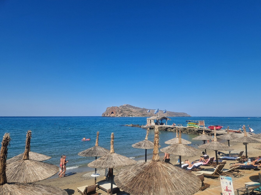 Salty Breeze - Beach Bar Restaurant