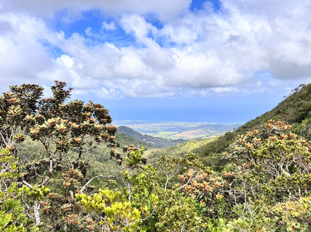 Taxi Mauritius Transfer-博巴森-荷津必去景点