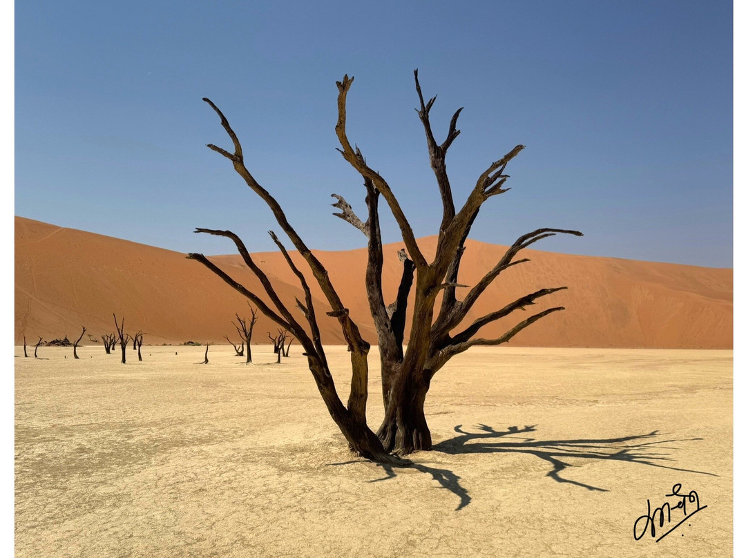 Wild Wind Safaris-温德和克必去景点