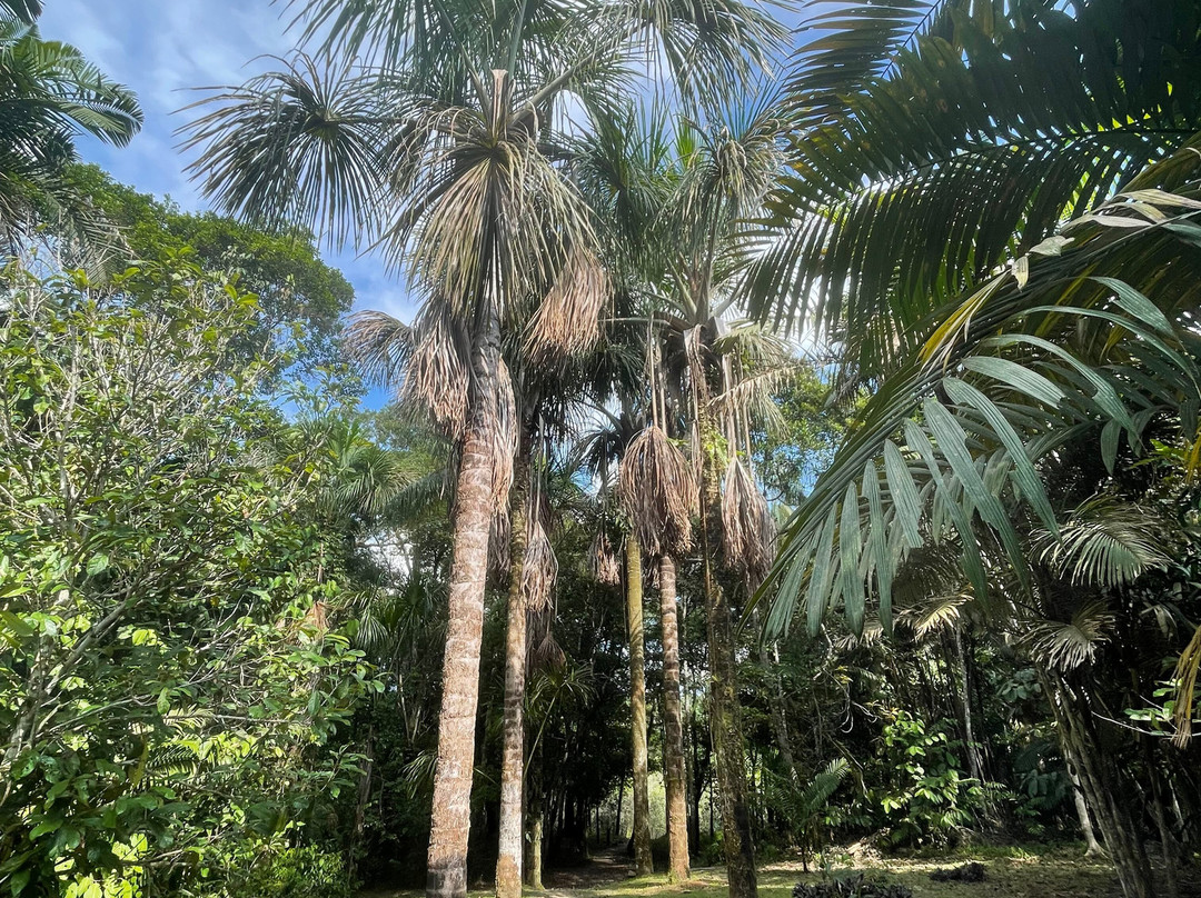 Kurupira Cabin Floating主图